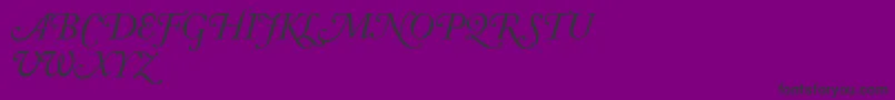 AdobeCaslonItalicSwash Font – Black Fonts on Purple Background