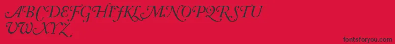 Police AdobeCaslonItalicSwash – polices noires sur fond rouge