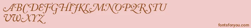 AdobeCaslonItalicSwash Font – Brown Fonts on Pink Background