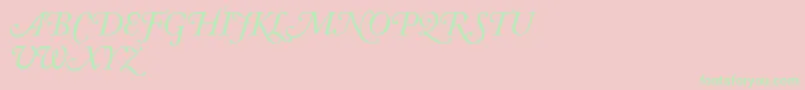 AdobeCaslonItalicSwash Font – Green Fonts on Pink Background