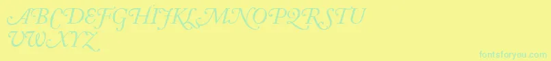 En savoir plus sur la police AdobeCaslonItalicSwash Police AdobeCaslonItalicSwash – polices vertes sur fond jaune