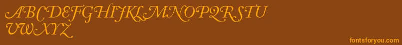 AdobeCaslonItalicSwash Font – Orange Fonts on Brown Background