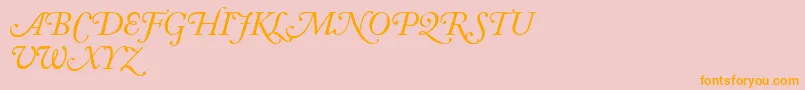 AdobeCaslonItalicSwash Font – Orange Fonts on Pink Background