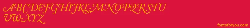 AdobeCaslonItalicSwash Font – Orange Fonts on Red Background