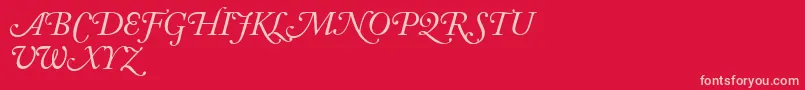 AdobeCaslonItalicSwash Font – Pink Fonts on Red Background