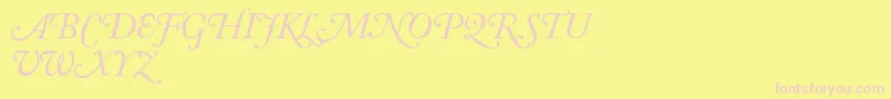 Подробнее о шрифте AdobeCaslonItalicSwash Шрифт AdobeCaslonItalicSwash – розовые шрифты на жёлтом фоне