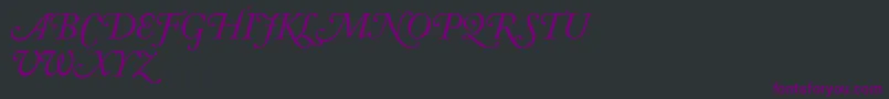 AdobeCaslonItalicSwash Font – Purple Fonts on Black Background