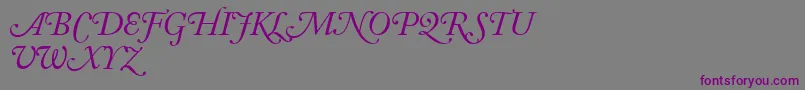 AdobeCaslonItalicSwash Font – Purple Fonts on Gray Background