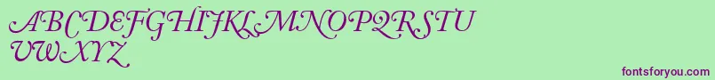 AdobeCaslonItalicSwash Font – Purple Fonts on Green Background