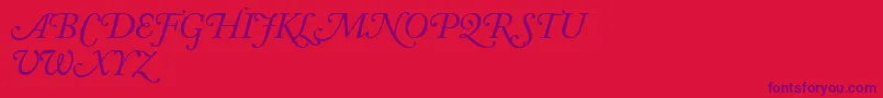 AdobeCaslonItalicSwash Font – Purple Fonts on Red Background