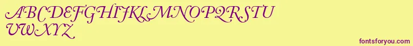 AdobeCaslonItalicSwash Font – Purple Fonts on Yellow Background