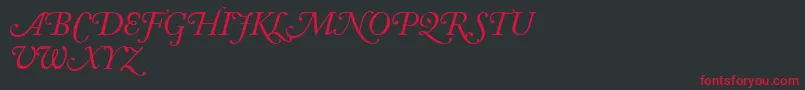 AdobeCaslonItalicSwash Font – Red Fonts on Black Background