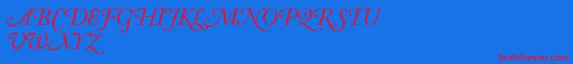 AdobeCaslonItalicSwash Font – Red Fonts on Blue Background