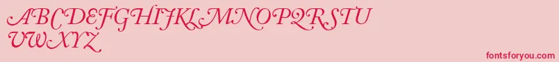 フォントAdobeCaslonItalicSwash – ピンクの背景に赤い文字
