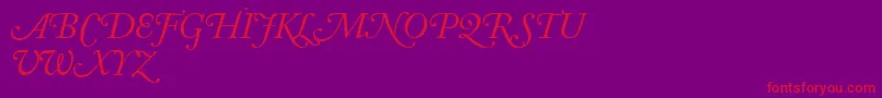 AdobeCaslonItalicSwash Font – Red Fonts on Purple Background