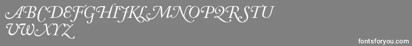 フォントAdobeCaslonItalicSwash – 灰色の背景に白い文字