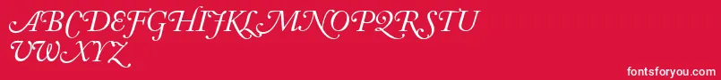 AdobeCaslonItalicSwash Font – White Fonts on Red Background