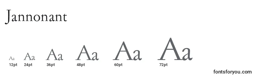Размеры шрифта Jannonant