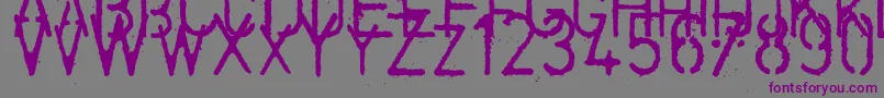 フォントColdcoffee – 紫色のフォント、灰色の背景