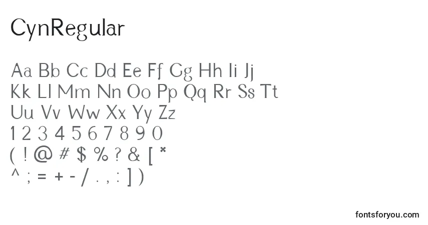 Schriftart CynRegular – Alphabet, Zahlen, spezielle Symbole