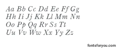 PartitionSsiItalic Font