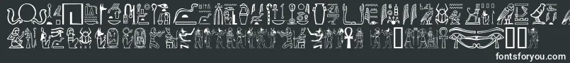 フォントGreywolfGlyphs – 白い文字