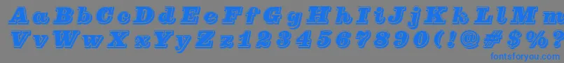 PfcenturaThreesingle Font – Blue Fonts on Gray Background