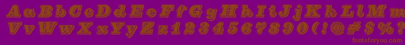 PfcenturaThreesingle Font – Brown Fonts on Purple Background