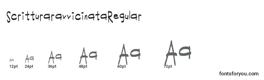 Размеры шрифта ScritturaravvicinataRegular
