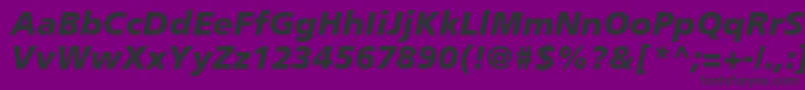 PalmaBlackSsiBlackItalic Font – Black Fonts on Purple Background