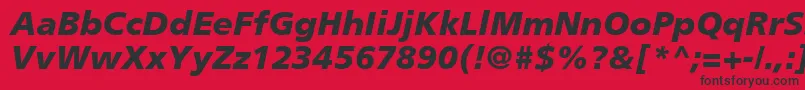 PalmaBlackSsiBlackItalic Font – Black Fonts on Red Background