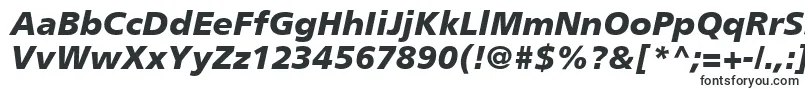 PalmaBlackSsiBlackItalic Font – Standard Fonts