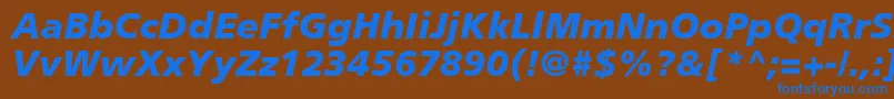 PalmaBlackSsiBlackItalic Font – Blue Fonts on Brown Background