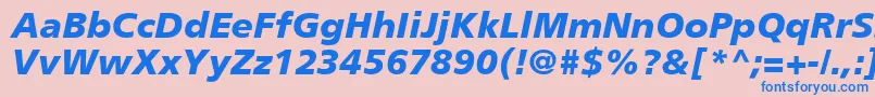PalmaBlackSsiBlackItalic Font – Blue Fonts on Pink Background
