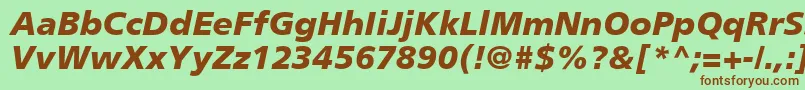 PalmaBlackSsiBlackItalic Font – Brown Fonts on Green Background