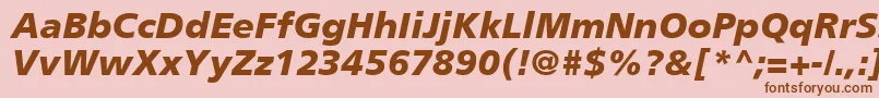 PalmaBlackSsiBlackItalic Font – Brown Fonts on Pink Background
