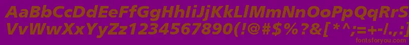 PalmaBlackSsiBlackItalic Font – Brown Fonts on Purple Background