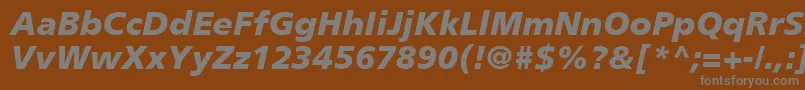 PalmaBlackSsiBlackItalic Font – Gray Fonts on Brown Background