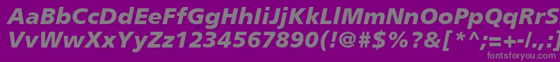 フォントPalmaBlackSsiBlackItalic – 紫の背景に灰色の文字
