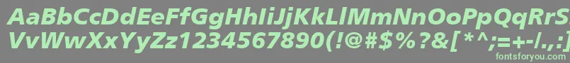 PalmaBlackSsiBlackItalic Font – Green Fonts on Gray Background