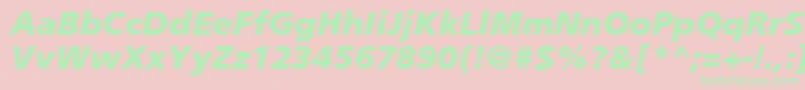 PalmaBlackSsiBlackItalic Font – Green Fonts on Pink Background