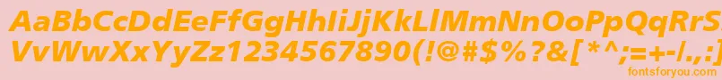 PalmaBlackSsiBlackItalic Font – Orange Fonts on Pink Background