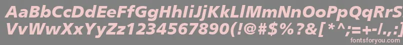 PalmaBlackSsiBlackItalic Font – Pink Fonts on Gray Background