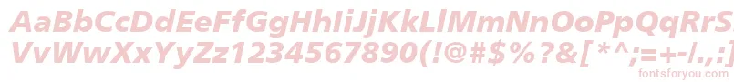 PalmaBlackSsiBlackItalic Font – Pink Fonts on White Background