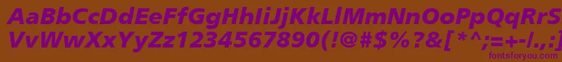 PalmaBlackSsiBlackItalic Font – Purple Fonts on Brown Background