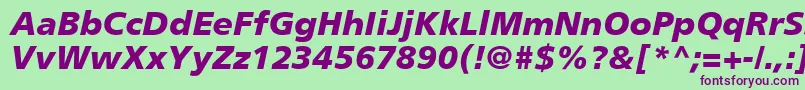 PalmaBlackSsiBlackItalic Font – Purple Fonts on Green Background
