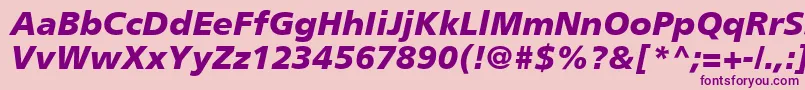 PalmaBlackSsiBlackItalic Font – Purple Fonts on Pink Background