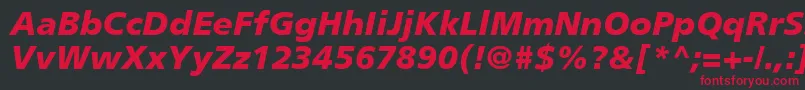 PalmaBlackSsiBlackItalic Font – Red Fonts on Black Background