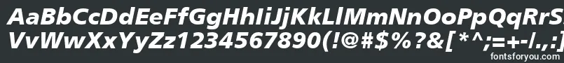 PalmaBlackSsiBlackItalic Font – White Fonts on Black Background