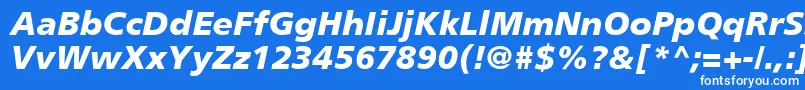 PalmaBlackSsiBlackItalic Font – White Fonts on Blue Background